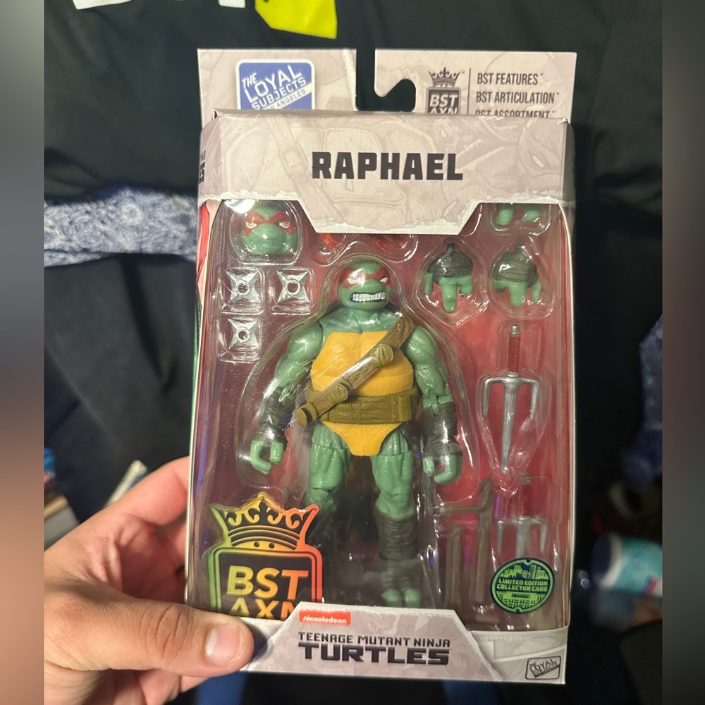 BST AXN TMNT figures.